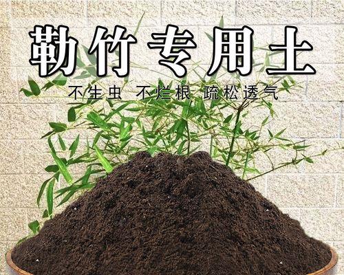 沙子土适宜种植哪些植物？（挑选适合沙子土的植物品种，打造独特花园）