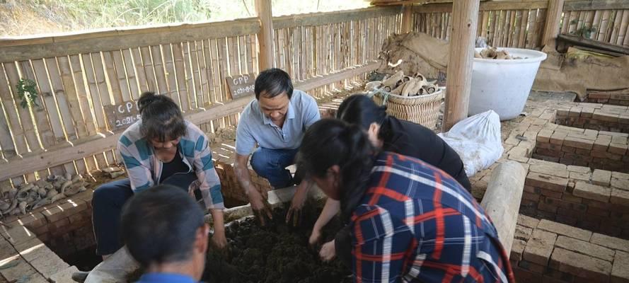 鹅粪肥料的利与弊（探讨鹅粪肥料的营养成分和使用注意事项）