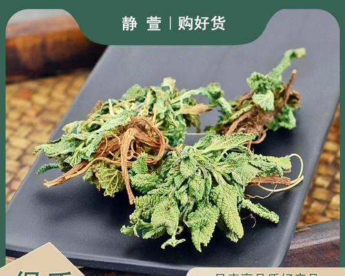 荔枝草有哪些神奇功效？荔枝草原来不仅仅是“野草”，还有这么多益处