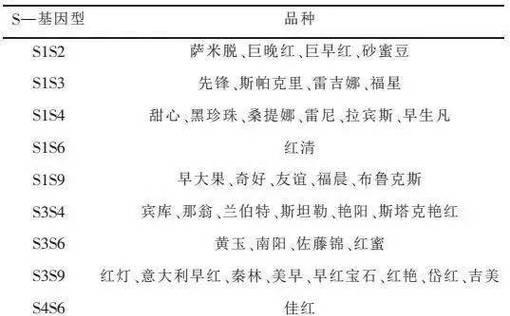 樱桃自花授粉研究剖析（探究樱桃的花器结构、自花授粉机理及影响因素）