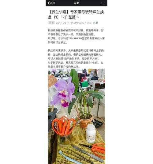 石斛兰换盆后多久浇水一次？（养护技巧，让你的石斛兰健康成长）