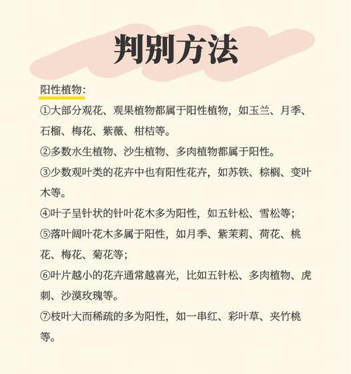 石榴生长的阳光秘密（探究石榴植物喜欢阴还是阳光、科学养护秘籍）