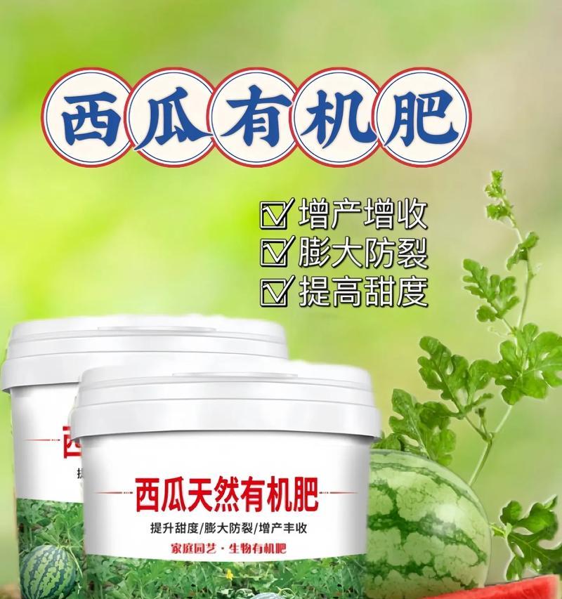 晚西瓜的种植时间和技巧（掌握种植技巧，丰收晚瓜）