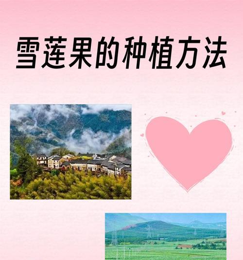 梨树秋天移栽的注意事项与方法（如何在秋季成功移栽梨树）