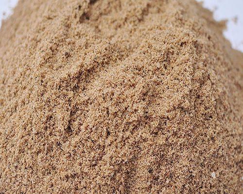 多肉也能用沙子种植？（探讨多肉植物用沙子种植的方法及优缺点）