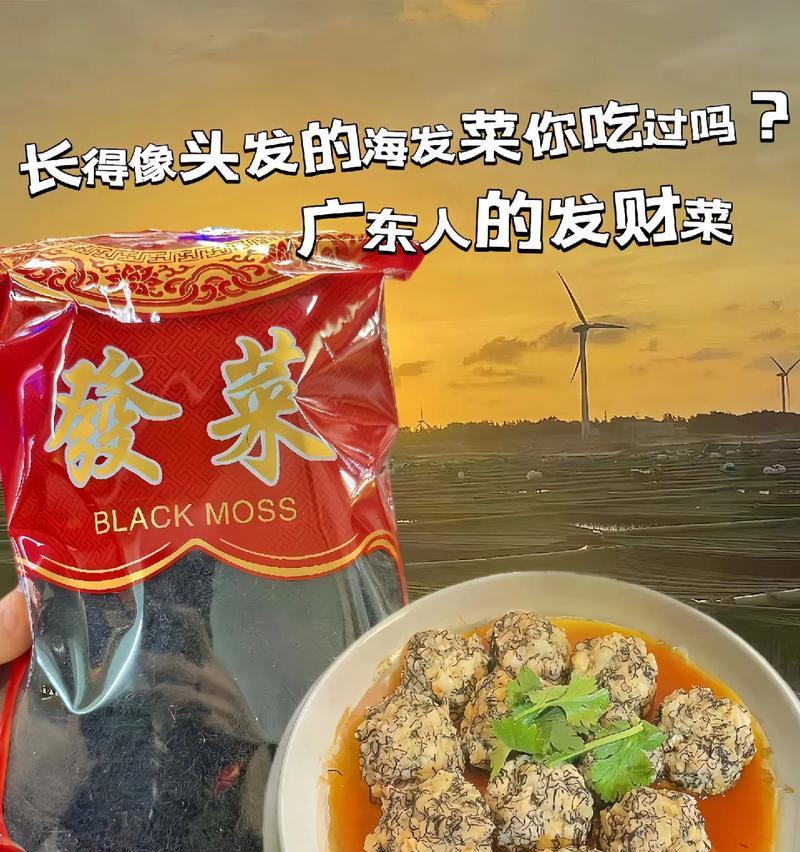 发菜生长的地理分布（探究发菜的生长环境和分布情况）