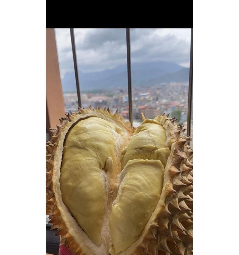 榴莲的性质到底是热性还是凉性？（科学探究榴莲的性质，掌握正确食用方法）
