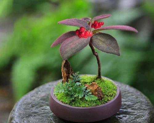 茶室里适合放哪些植物？（打造独特的茶室环境，这些植物不容错过！）