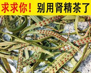 肾精草的功效和用途（解析肾精草对身体的保健作用）