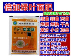蓝莓苗僵苗的防治方法（如何预防和处理蓝莓苗僵苗现象）
