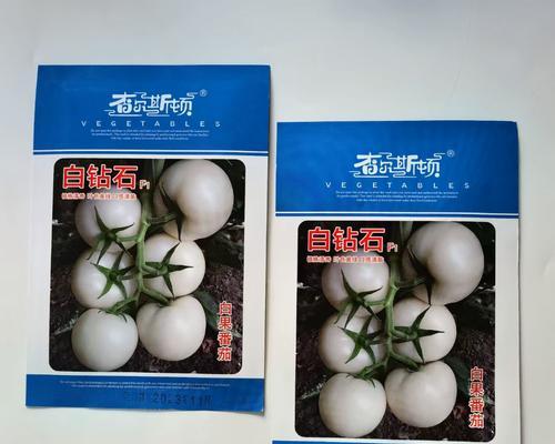 番茄种子的种植方法（从种子的选择到收成的全程指南，让你种出美味的番茄）