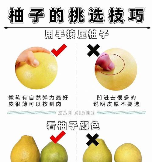 红心柚子的含糖量究竟有多高？（探寻红心柚子的营养成分及其对健康的影响）