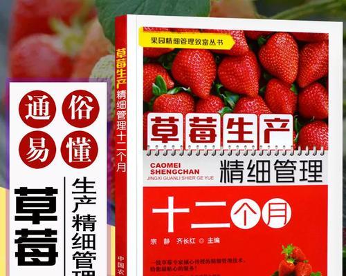 草莓套种的好处与方法（掌握草莓套种，让你的果园更富饶）