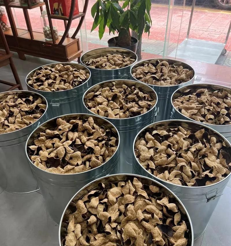 妙招教你保存陈皮的最佳方法（如何储存陈皮保持其品质和香味）