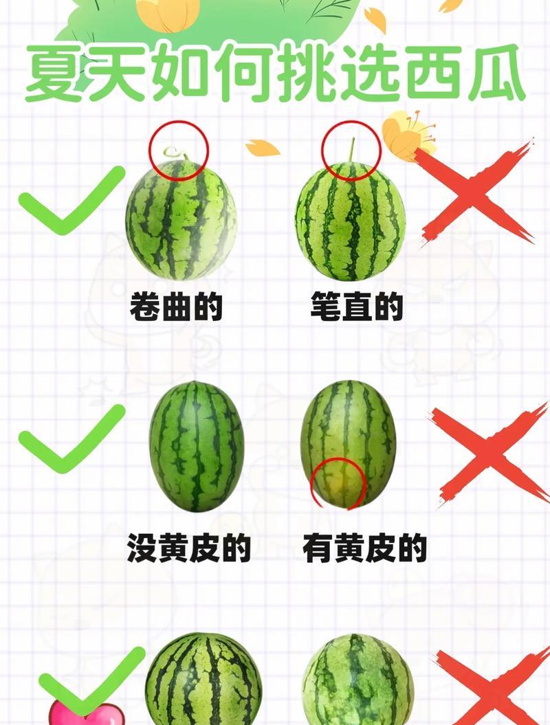 西瓜储存方法大全（让你的西瓜保鲜又美味）
