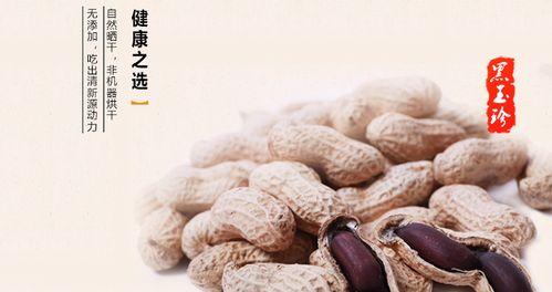 探寻黑花生之乡——最佳产地在哪里？