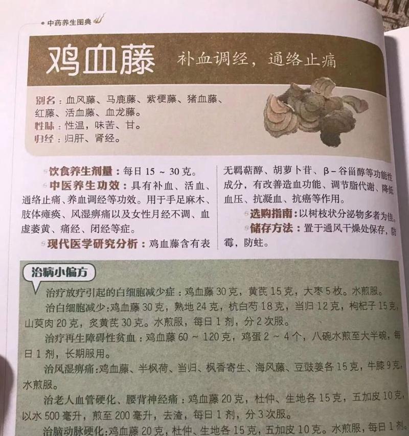 鸡血藤的热性与凉性（探究鸡血藤的性质及对身体的影响）