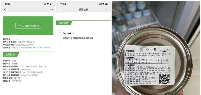 葱种子的来源和获取（了解葱种子的产生和收集方法）