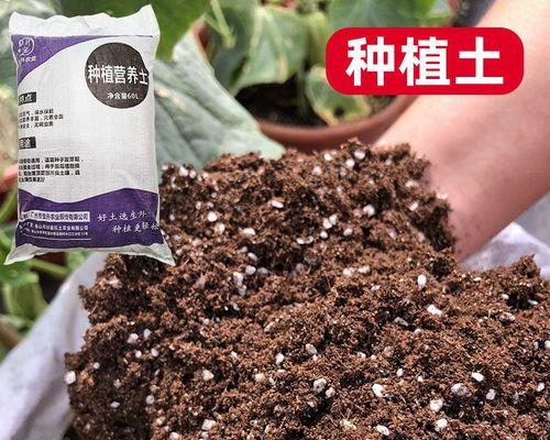 营养土适合种什么花？（如何选择合适的营养土？）