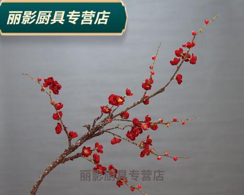 腊梅干枝的原因与处理方法（探究腊梅干枝的成因，提供有效的处理方法）