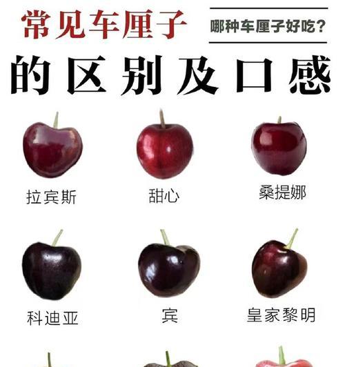 车厘子到底是不是碳水化合物？（探究车厘子的营养成分和健康价值）