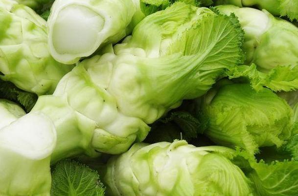 探究儿菜的身世及营养价值（探讨儿菜的别名及独特之处）