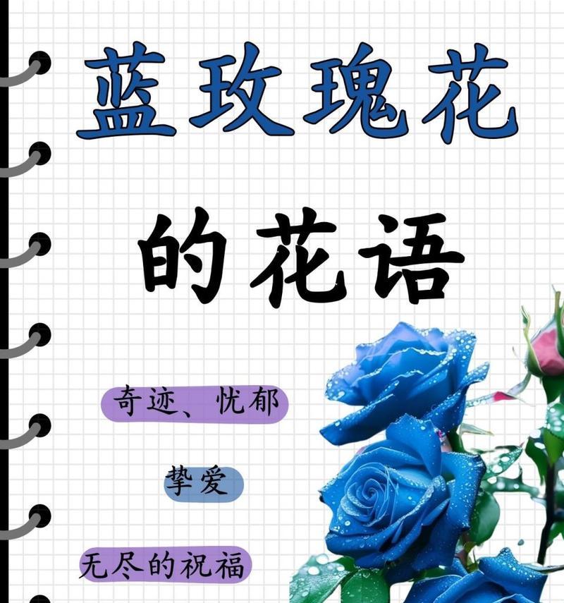 蓝玫瑰花的花语与含义（探寻蓝玫瑰背后的深意）