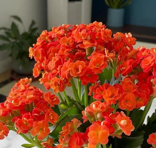 鸿运当头，阳光普照（揭秘鸿运到来的10个征兆）