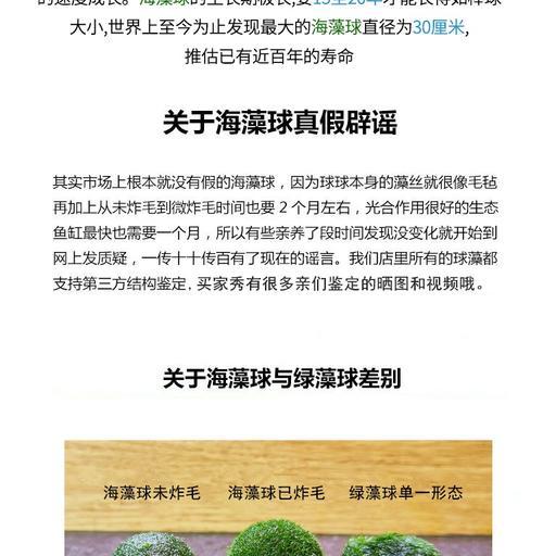 如何养护海藻球，防止炸毛？（细节决定成败，海藻球照顾须知）