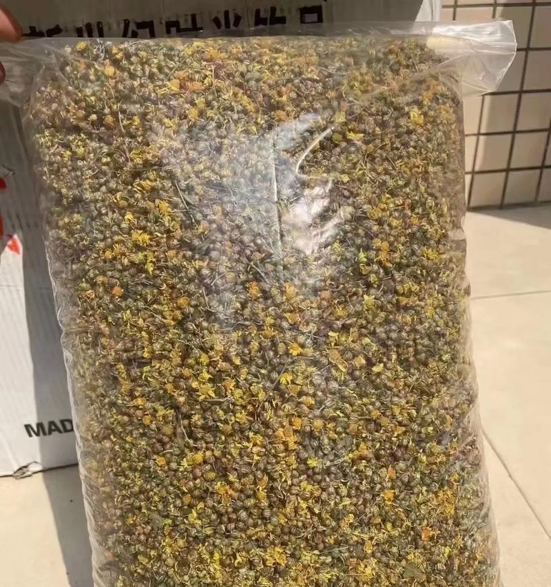 菊花放卧室安全吗？（探究菊花的有毒成分及其对人体的影响）