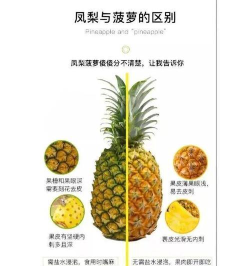 凤梨成熟时间详解（了解凤梨成熟的重要性和方法）
