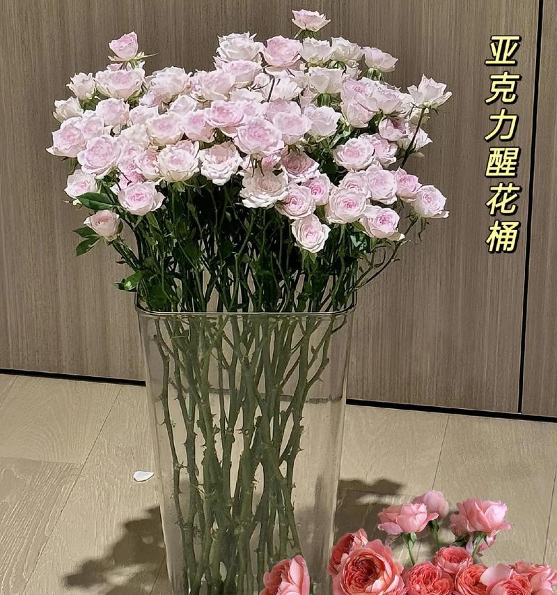 冬青如何醒花？——醒花方法与步骤剖析（打造花园新景观，冬青也能开花）