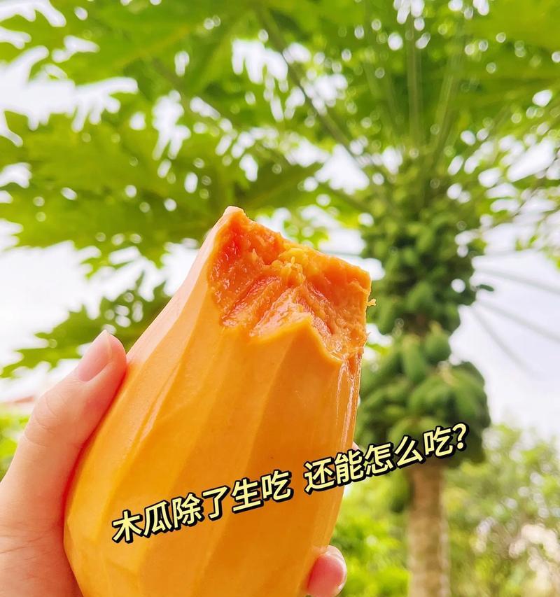 家里可以种木瓜树，打造自家果园（养成健康生活习惯，享受自然果实的美好）