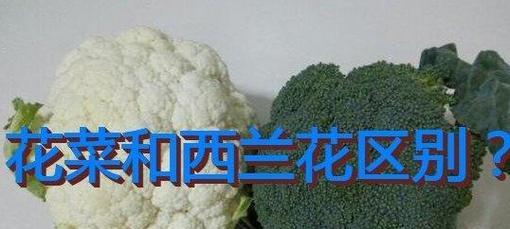 花菜种植全攻略（种植时间、方法、注意事项一网打尽）