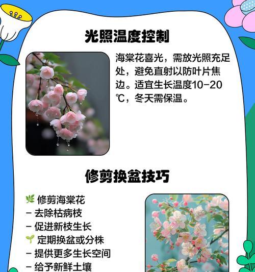 如何正确浇水以保护海堂花的生长（海堂花浇水注意事项及方法）