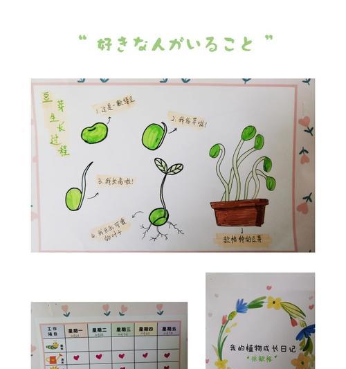 家庭豆芽种植技巧（简单、快速、营养丰富的家庭豆芽种植方法）