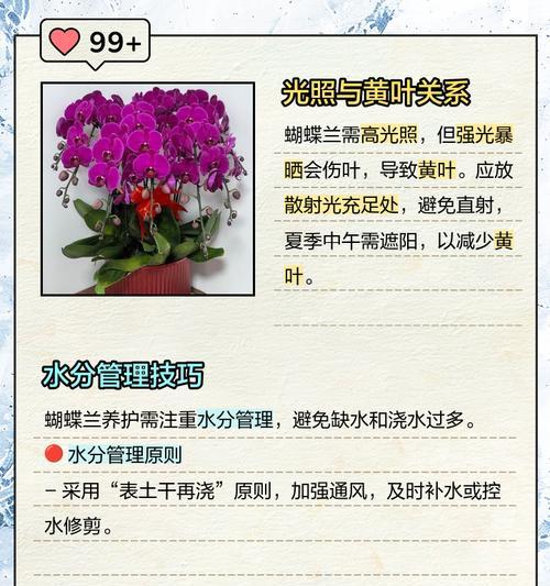 韭兰叶子发黄原因及解决方法（如何让韭兰长势更旺盛）