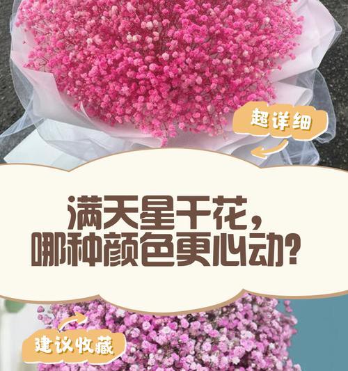 满天星的五彩缤纷之谜（揭秘满天星鲜艳多彩的成因及种类）