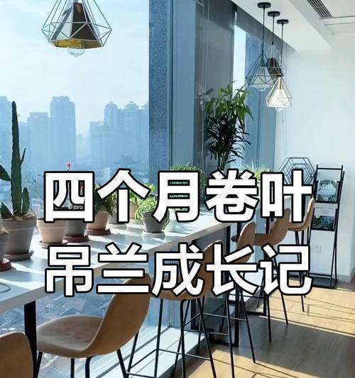 吊兰叶子卷了该怎么办？（解决吊兰叶子卷曲的方法及注意事项）