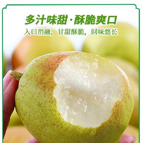 库尔勒香梨收获月份及特点（探秘库尔勒香梨的成熟期和美味）