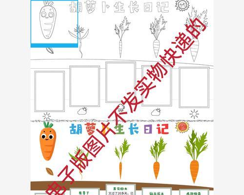 胡萝卜的生长环境（喜欢生长在温和、排水良好的土壤中）