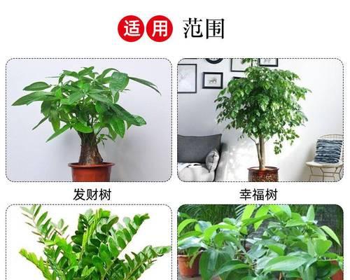如何制作营养土，让发财树茁壮成长（掌握关键营养元素，打造理想生长环境）