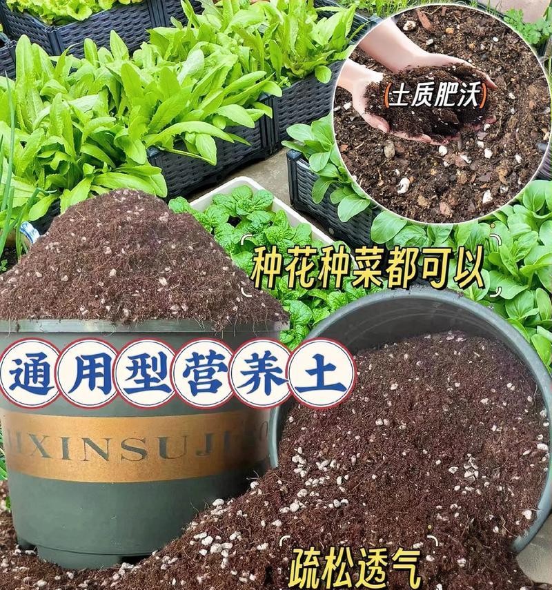 如何优化种花土？（掌握关键技巧，打造理想花园）