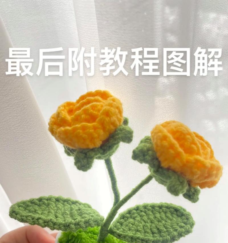 如何让盆栽玫瑰长出美丽花苞