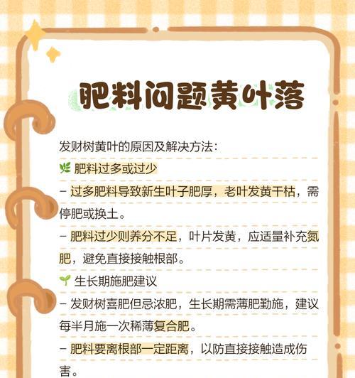 发财树掉叶子怎么办？解决方法大揭秘！（发财树掉叶子怎么办？15个小窍门帮你解决烦恼）