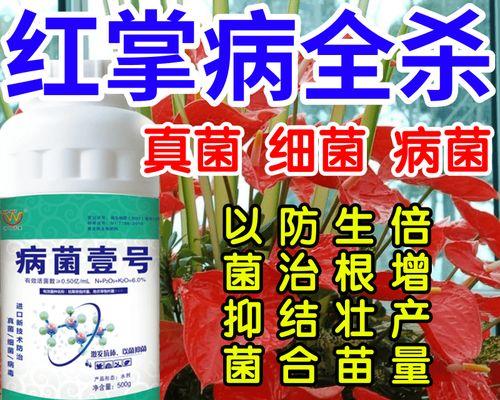 红掌生病防治指南（红掌生病的原因、预防和治疗方法解析）