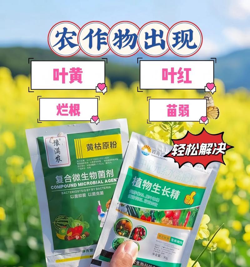有效应对肥害黄叶的措施（从营养平衡到病虫防治，让植物重拾翠绿生机）
