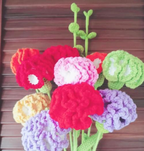 康乃馨怎么醒花（一步步教你让康乃馨重获生机）