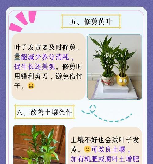 叶子末端发黄的原因及治疗方法（叶子末端发黄问题的症状和处理技巧）