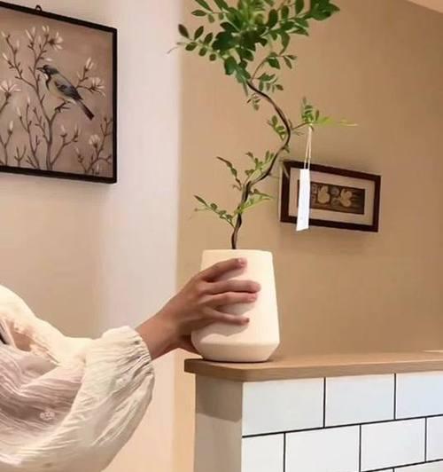 盆栽九里香的科学浇水方法（掌握正确的浇水时间和水量，让九里香健康茁壮成长）